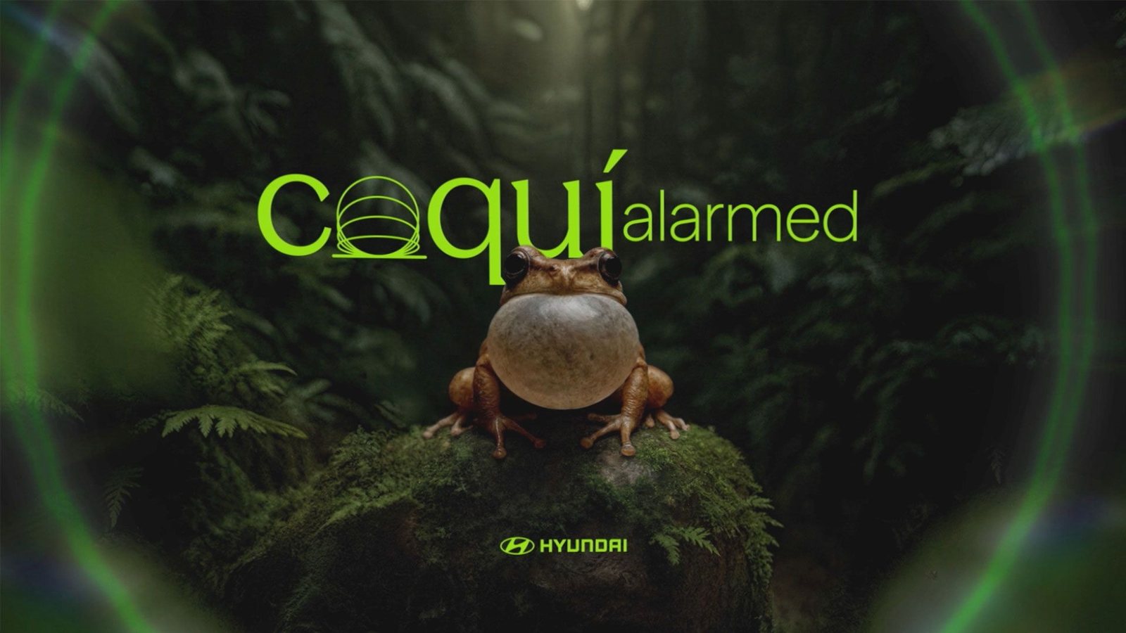 Coquí Alarmed